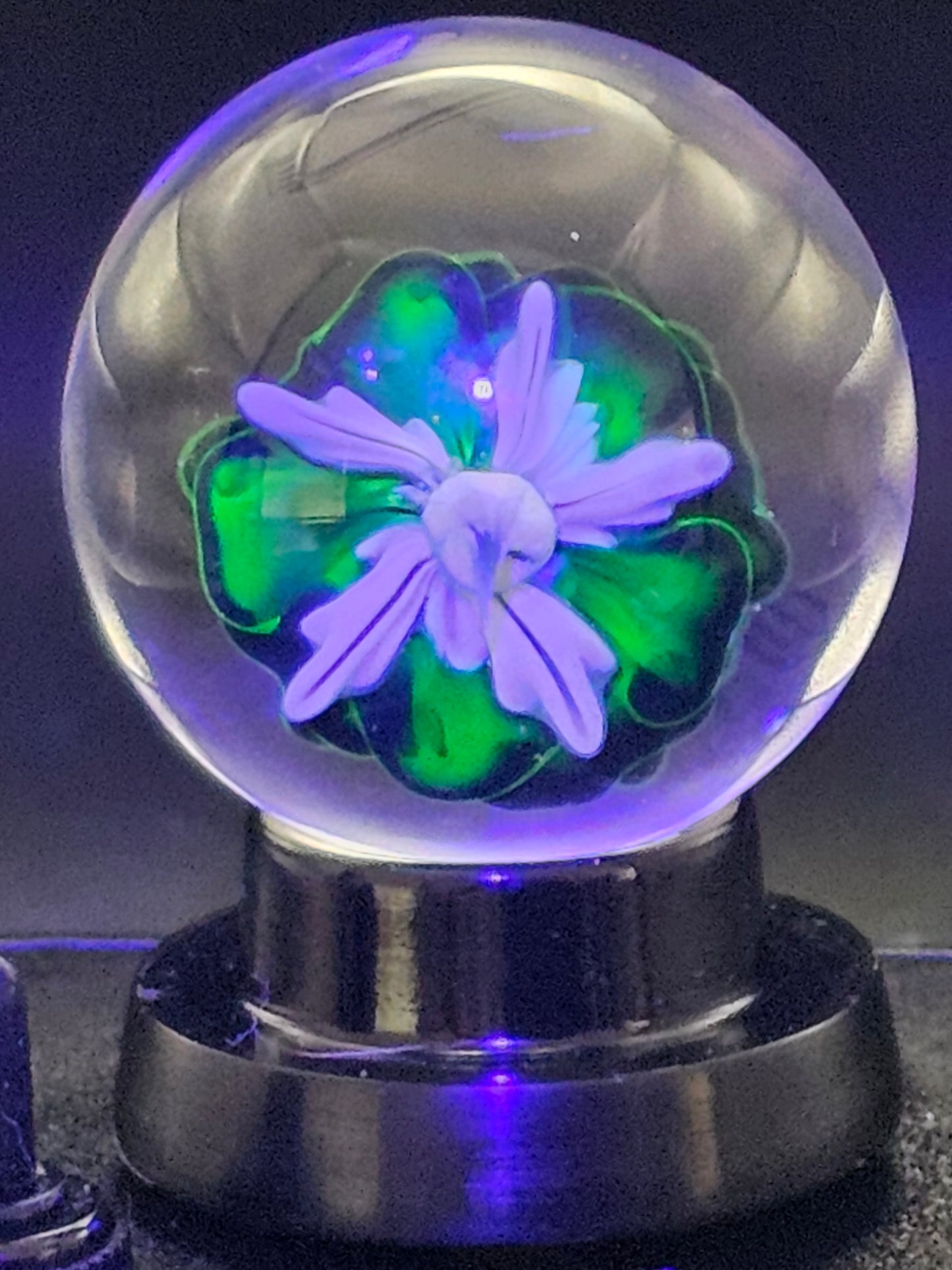 Galaxy Black & Uranium (ION) Floral Marble