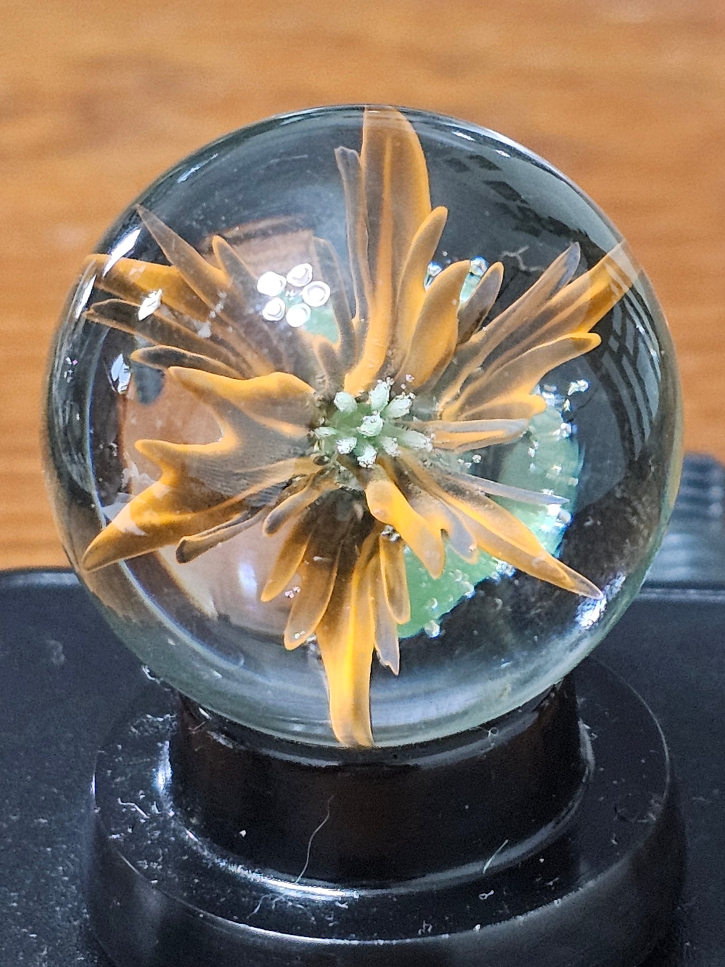 Orange and Black Floral Marble