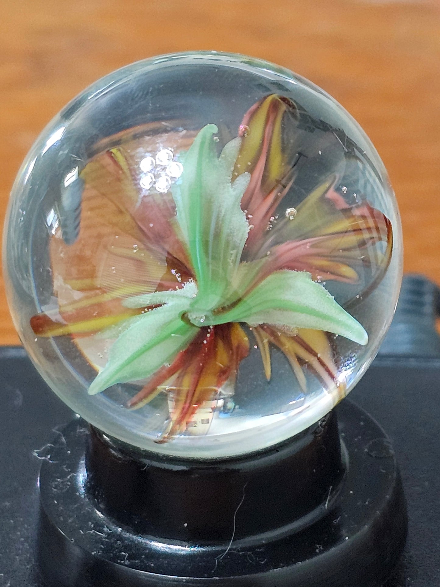 Red Elvis and Roswell Yellow Floral Marble