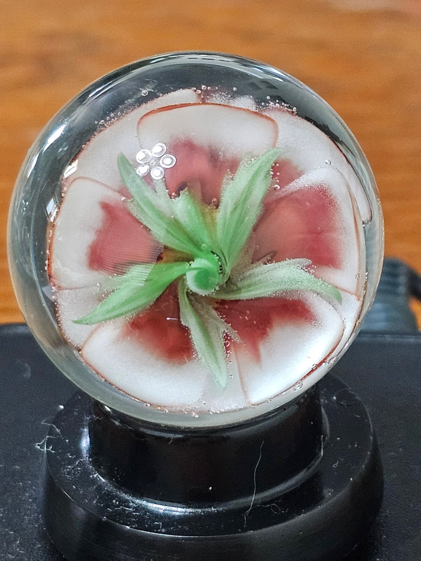 White and Red Elvis Floral Marble