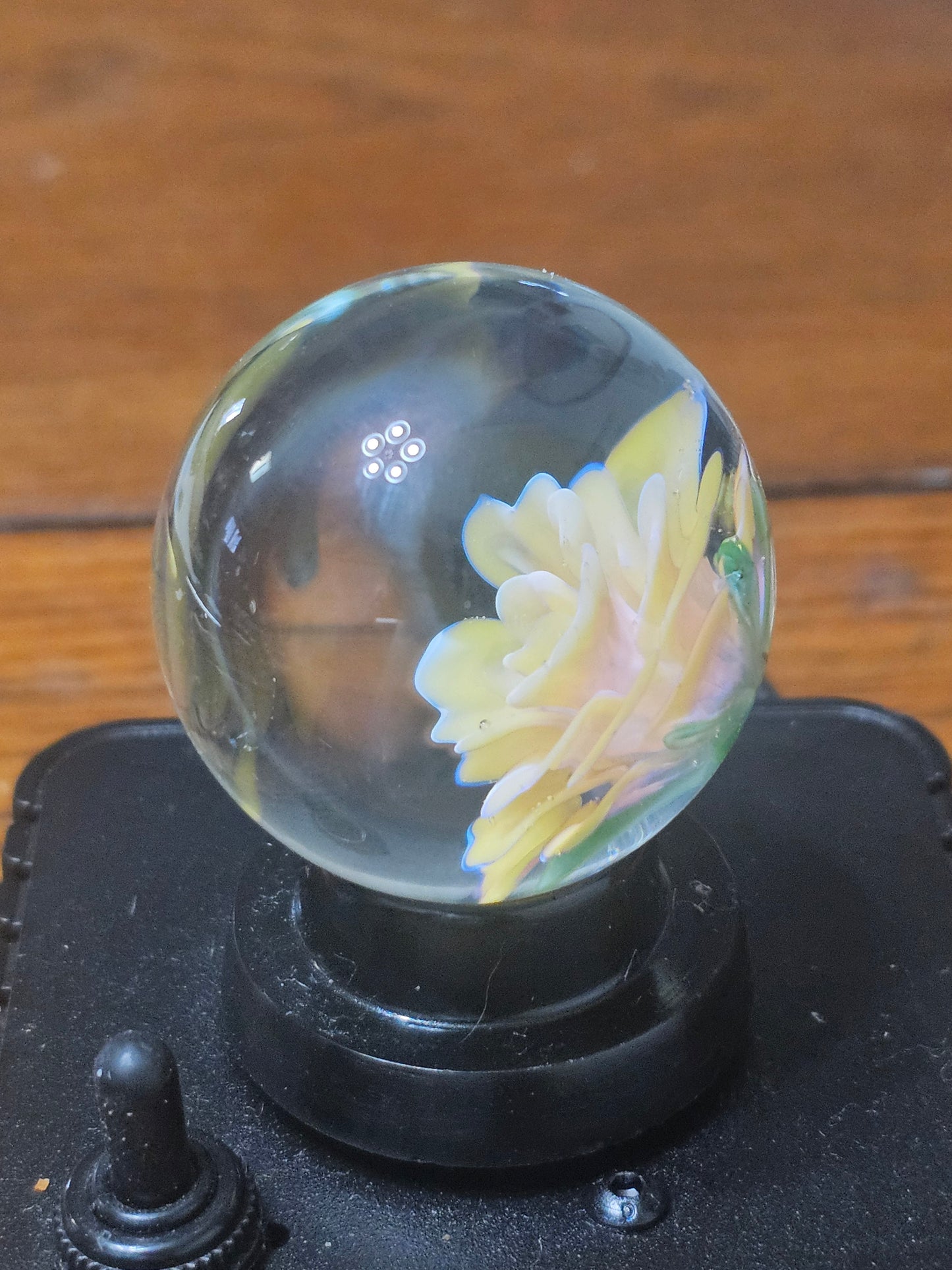 Canary Yellow and Telemagenta Floral Marble
