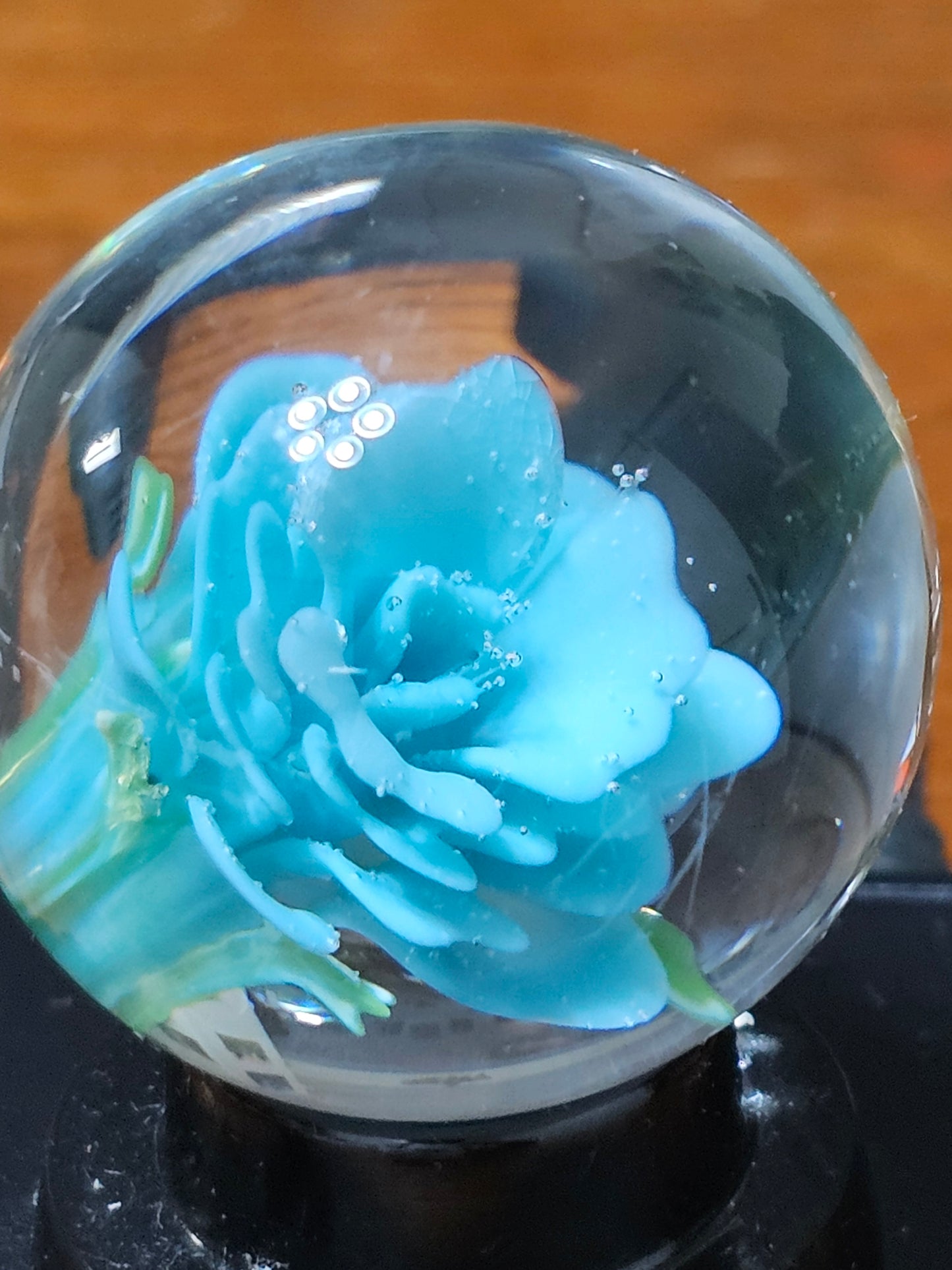 Agua Azul Floral Marble