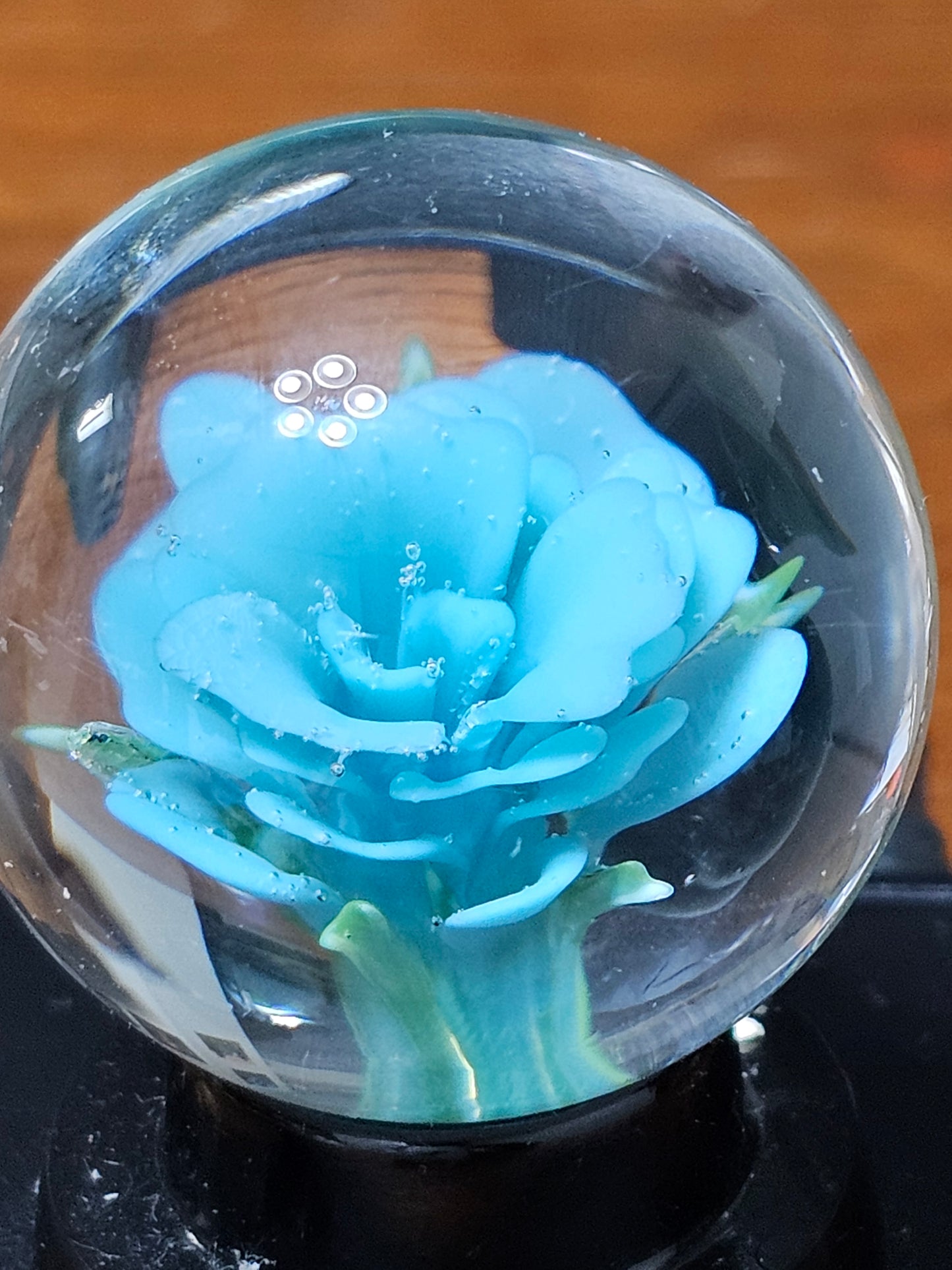 Agua Azul Floral Marble