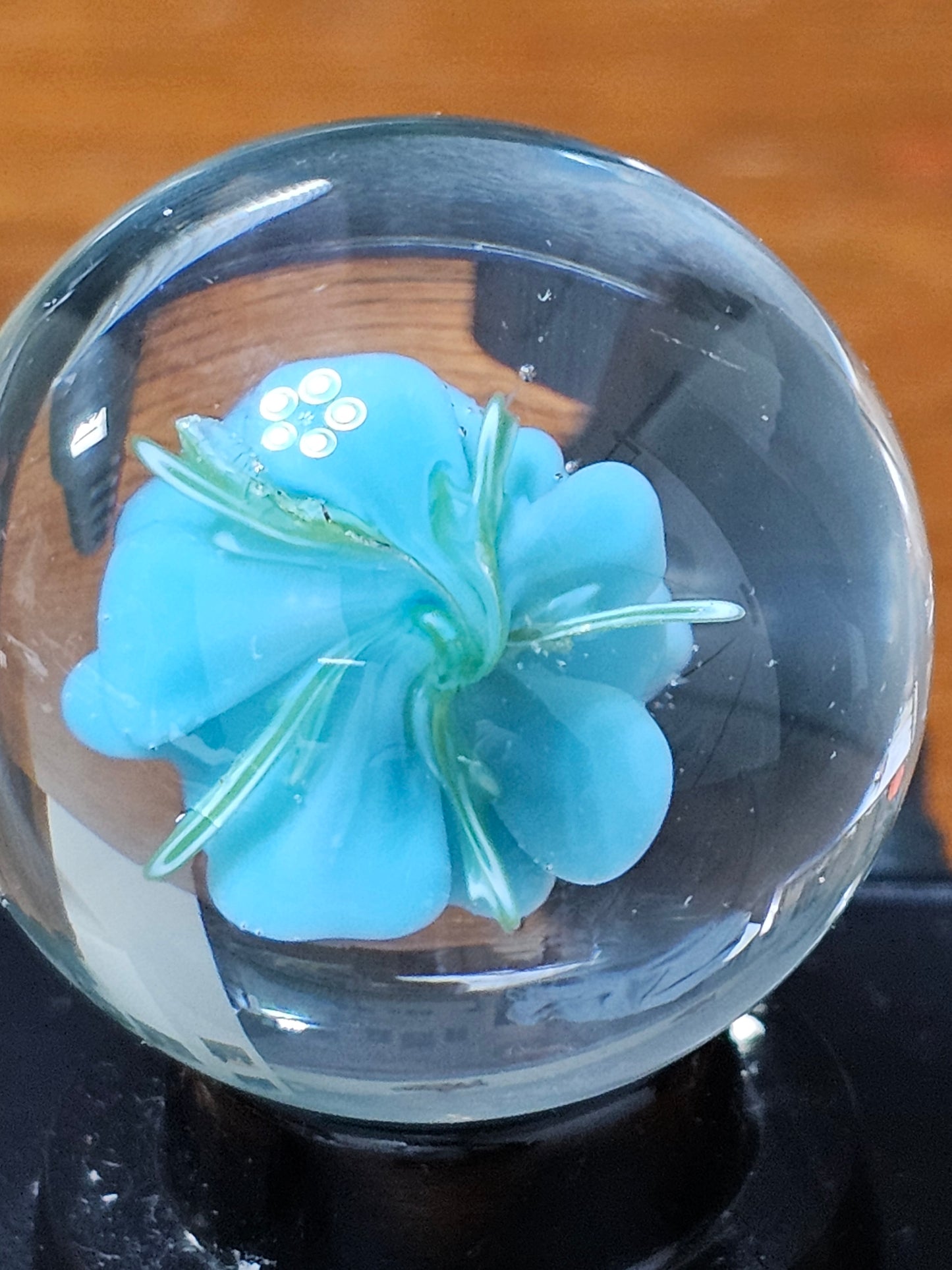 Agua Azul Floral Marble