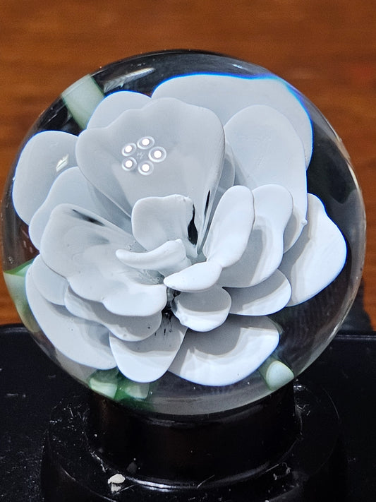 China White & Jet Black Floral Marble