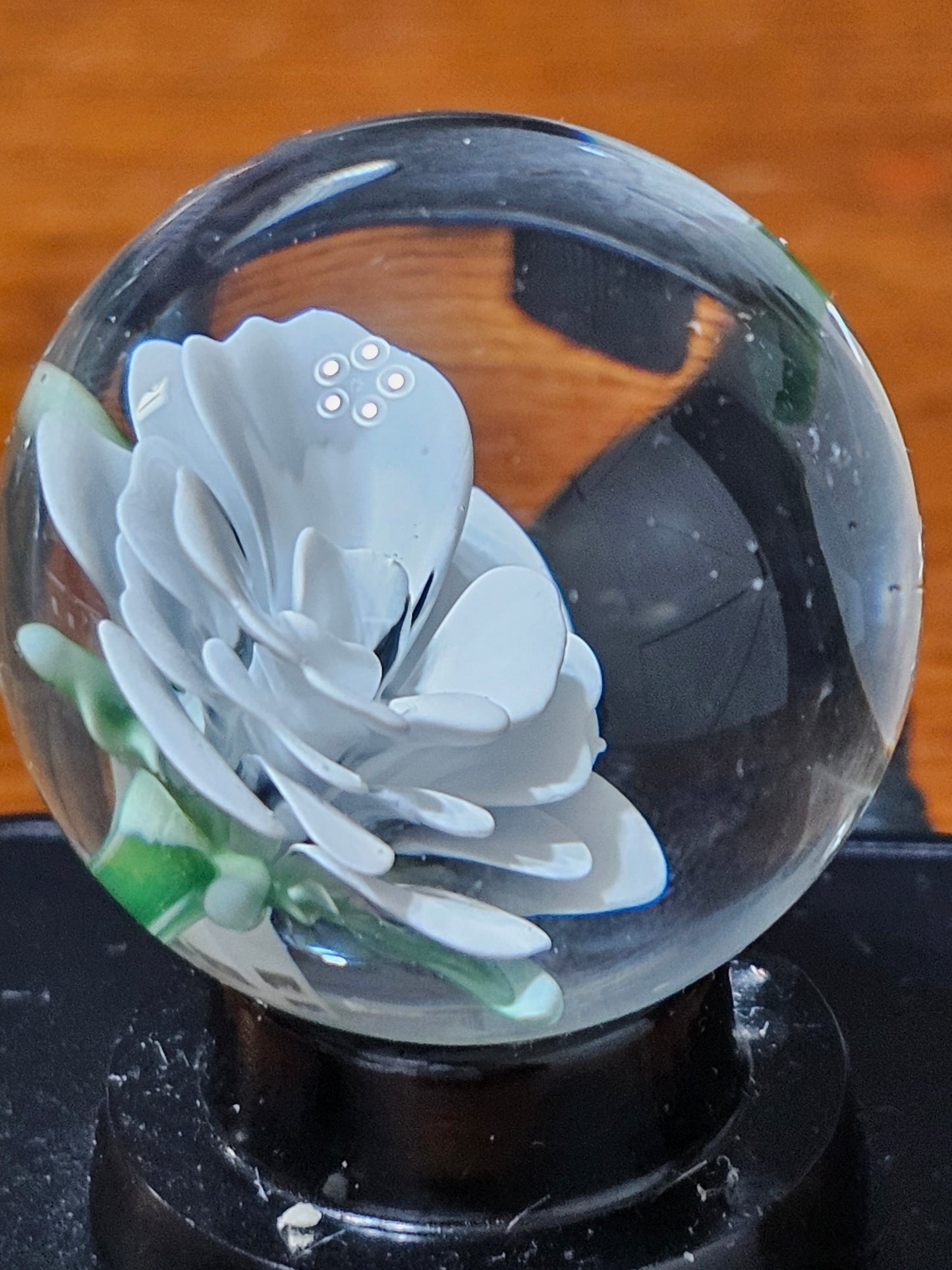 China White & Jet Black Floral Marble