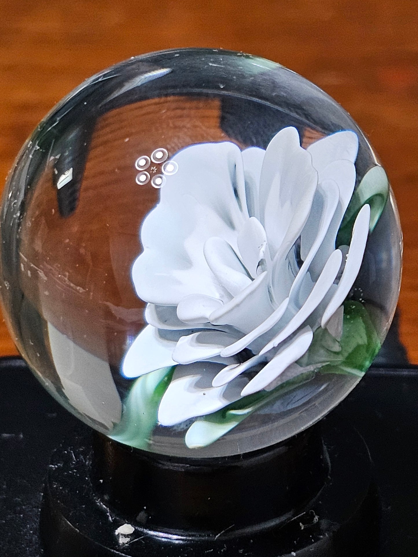 China White & Jet Black Floral Marble