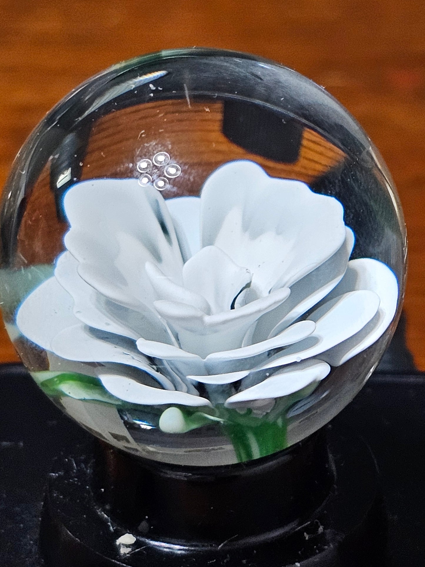 China White & Jet Black Floral Marble