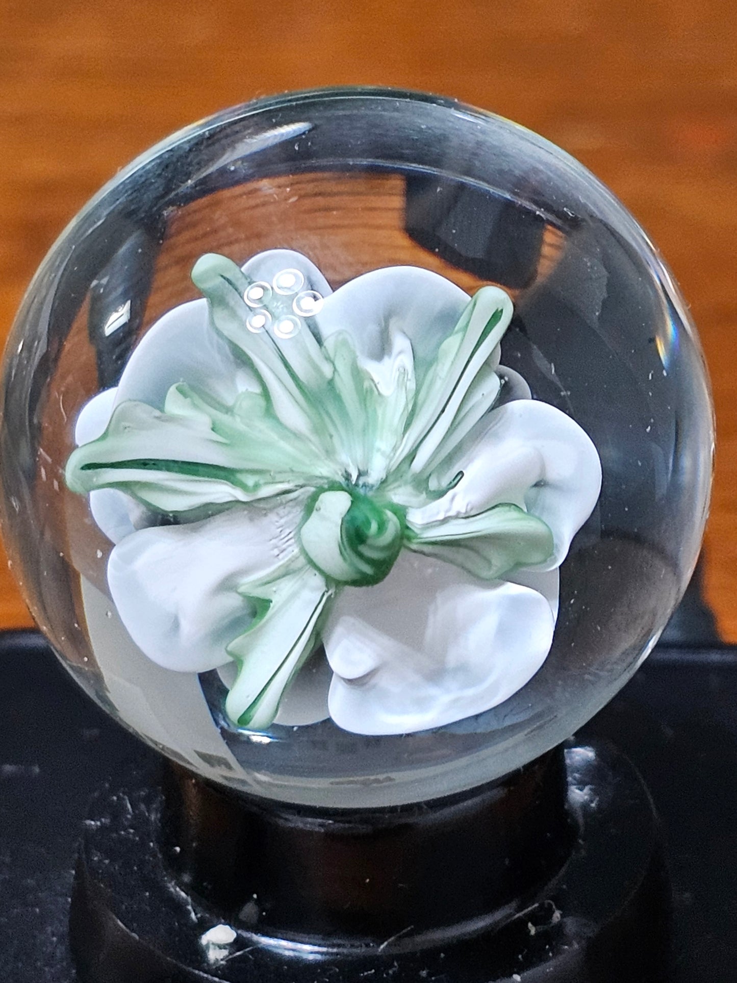 China White & Jet Black Floral Marble