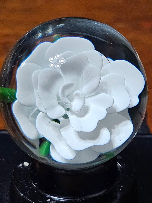 China White Floral Marble