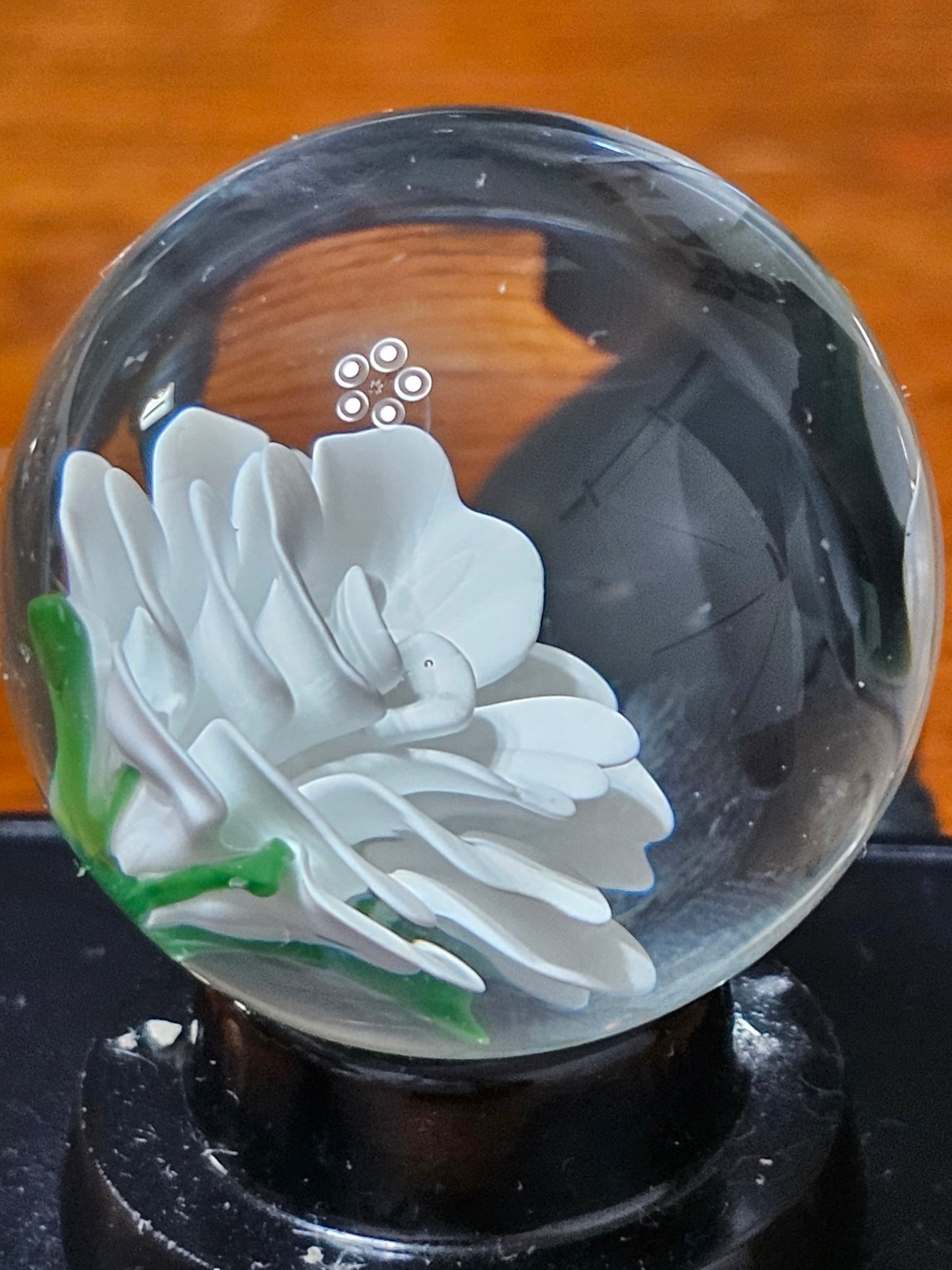 China White Floral Marble