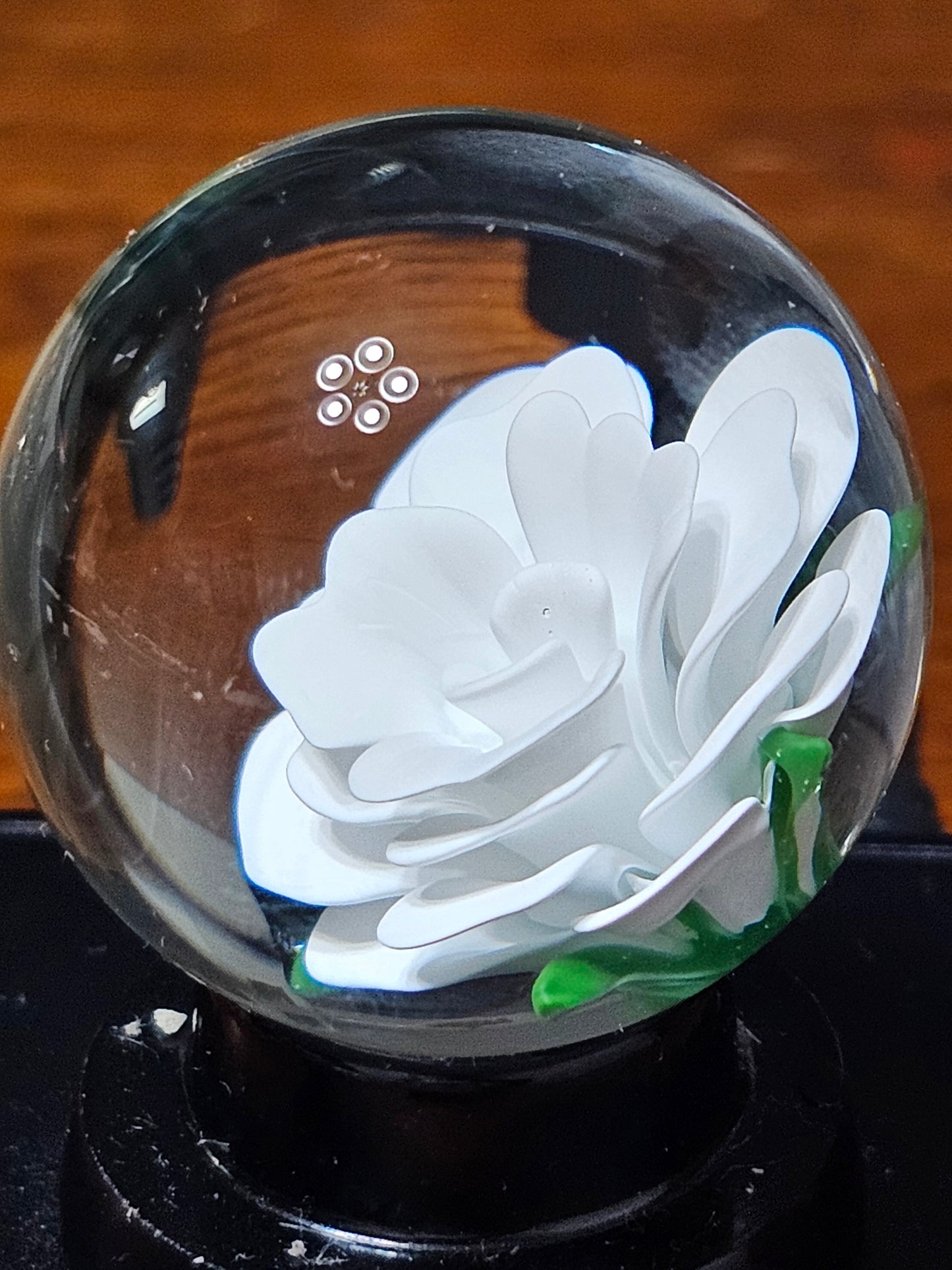 China White Floral Marble