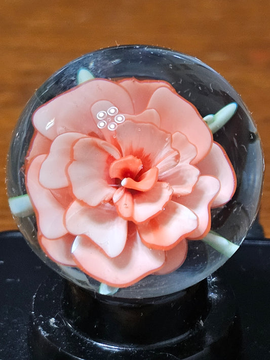 Poppy Red & China White Floral Marble