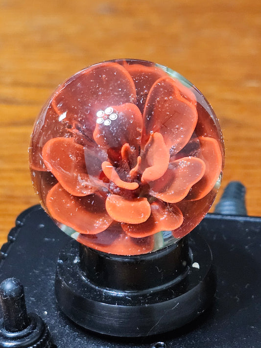 Poppy Red & Jet Black Floral Marble