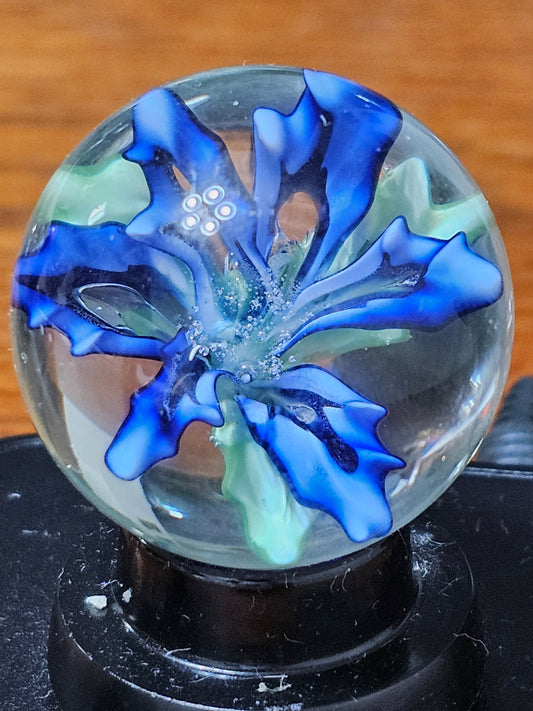Turbo Cobalt & China White Floral Marble