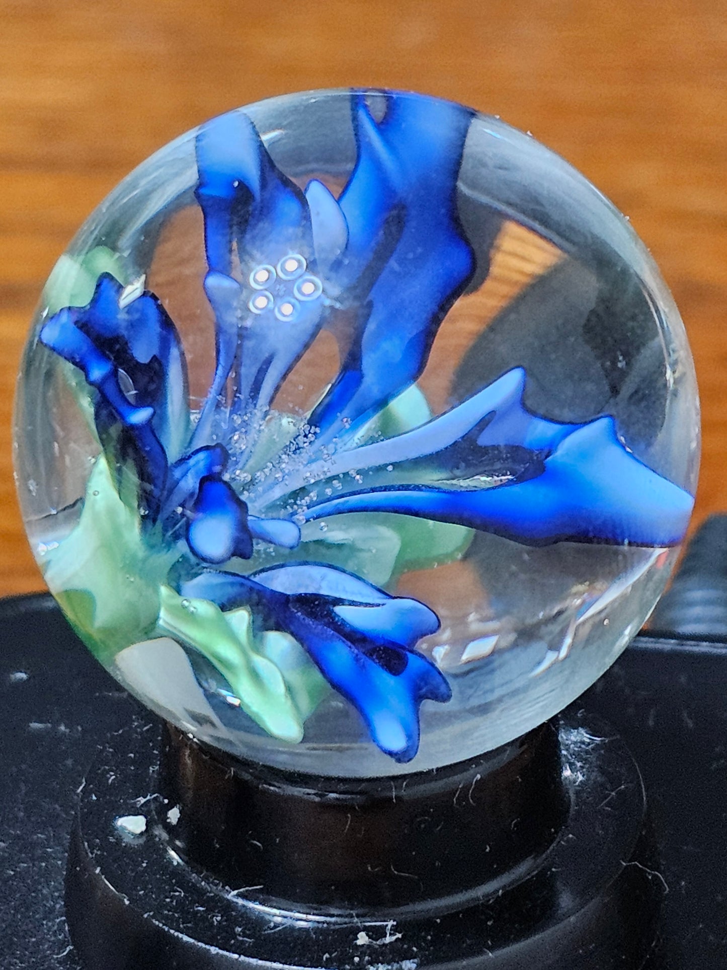 Turbo Cobalt & China White Floral Marble