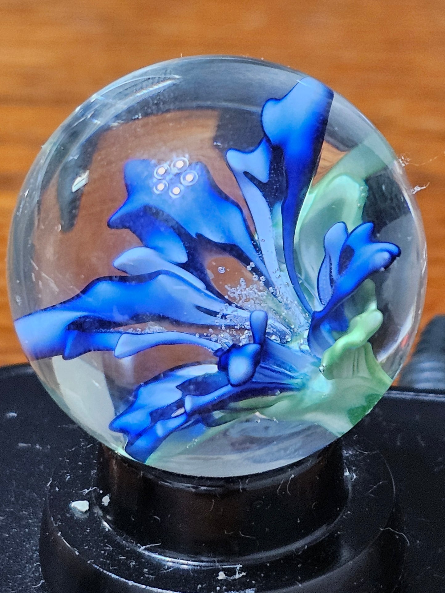 Turbo Cobalt & China White Floral Marble