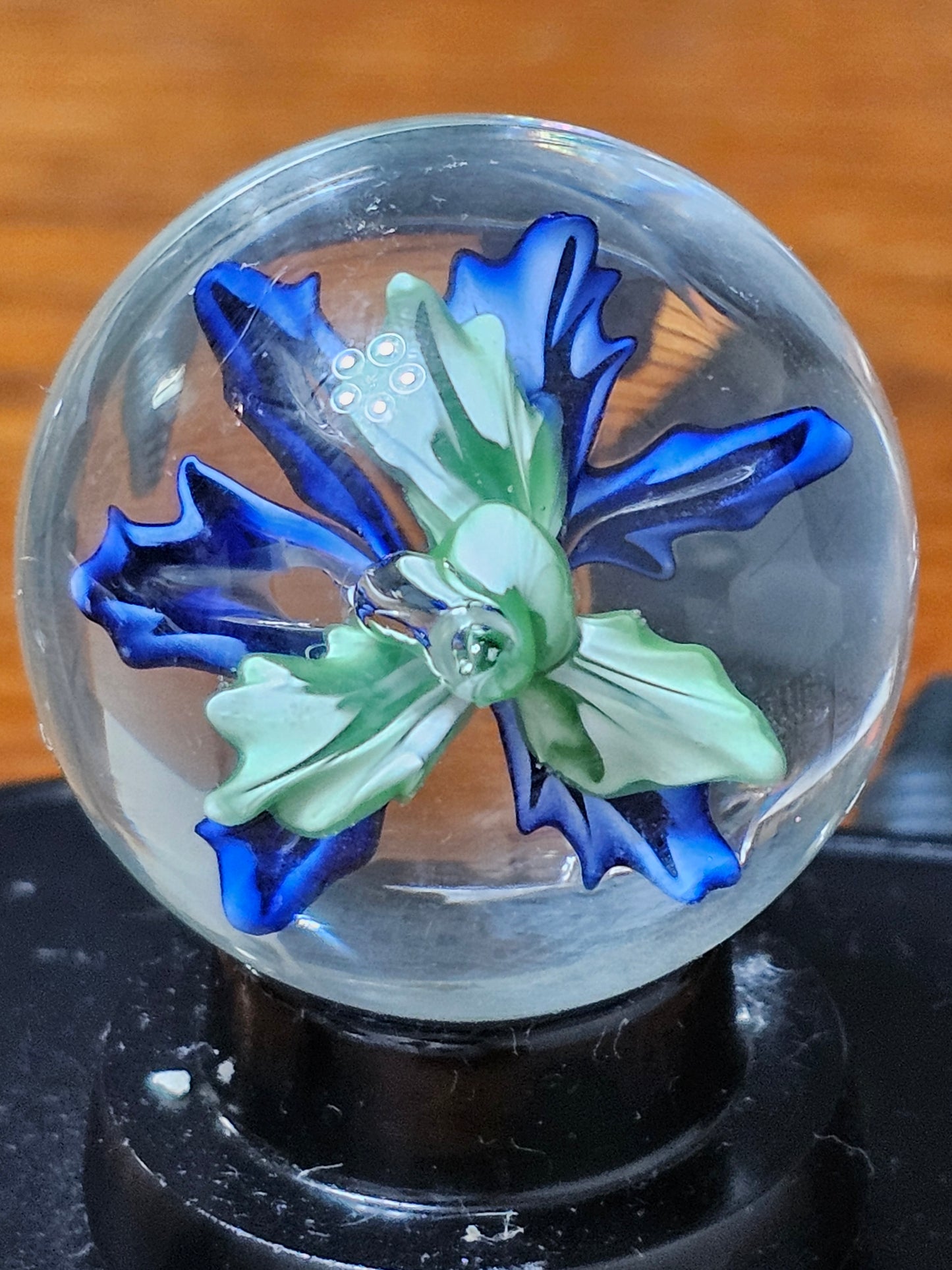 Turbo Cobalt & China White Floral Marble