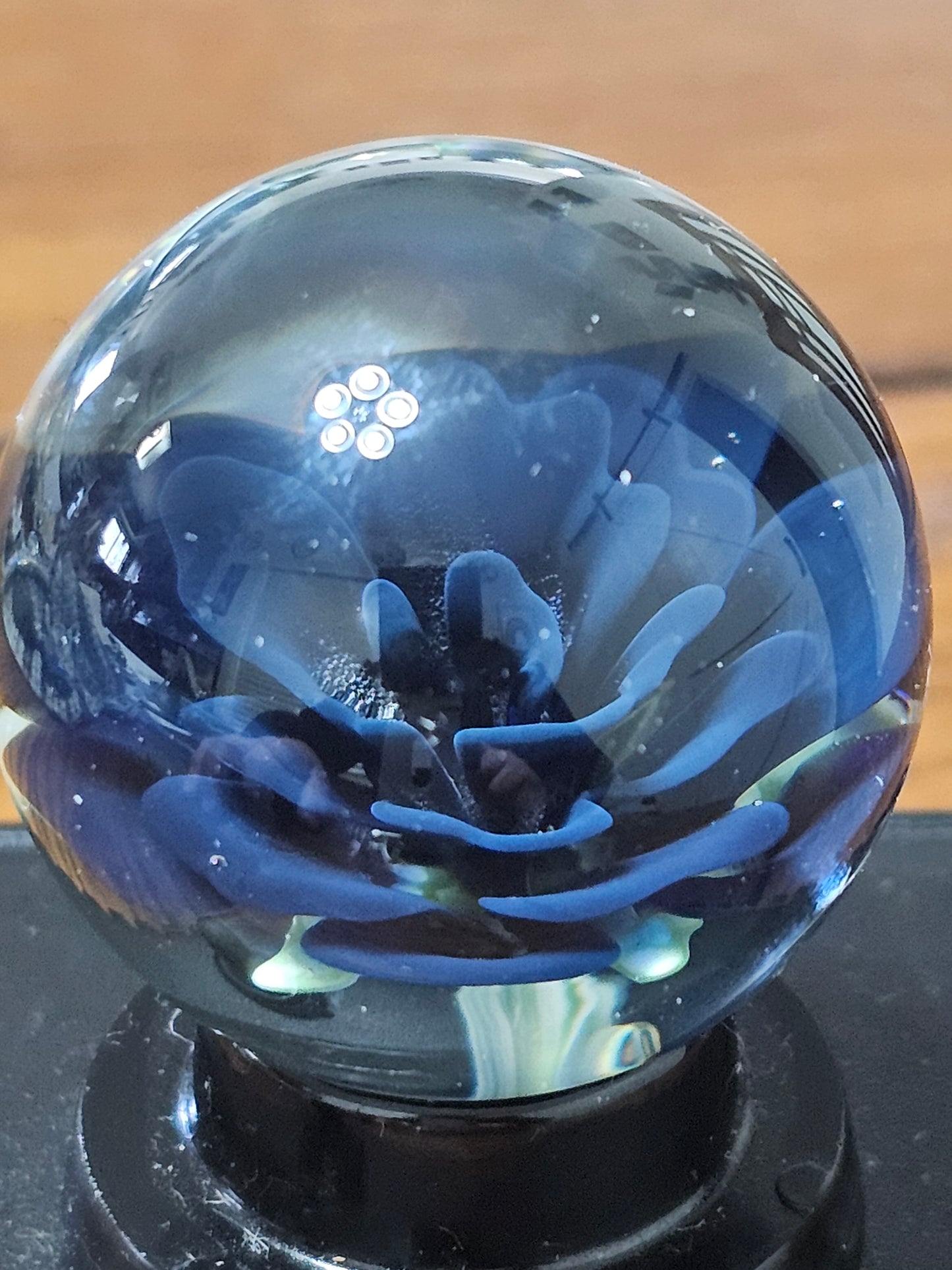 Jet Black & Cobalt Blue Floral Marble