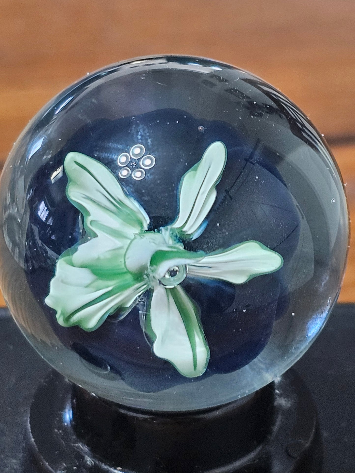 Jet Black & Cobalt Blue Floral Marble