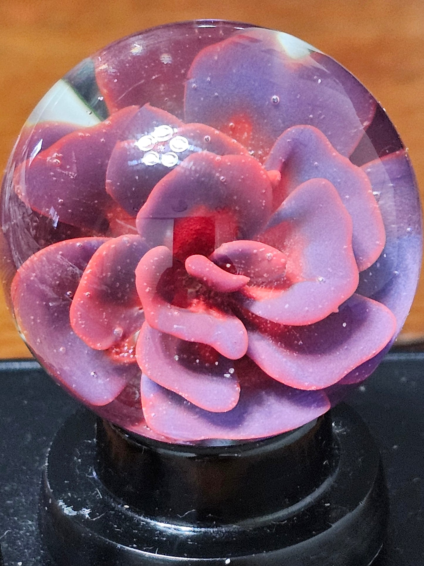 Floral Marble for Sea Savage