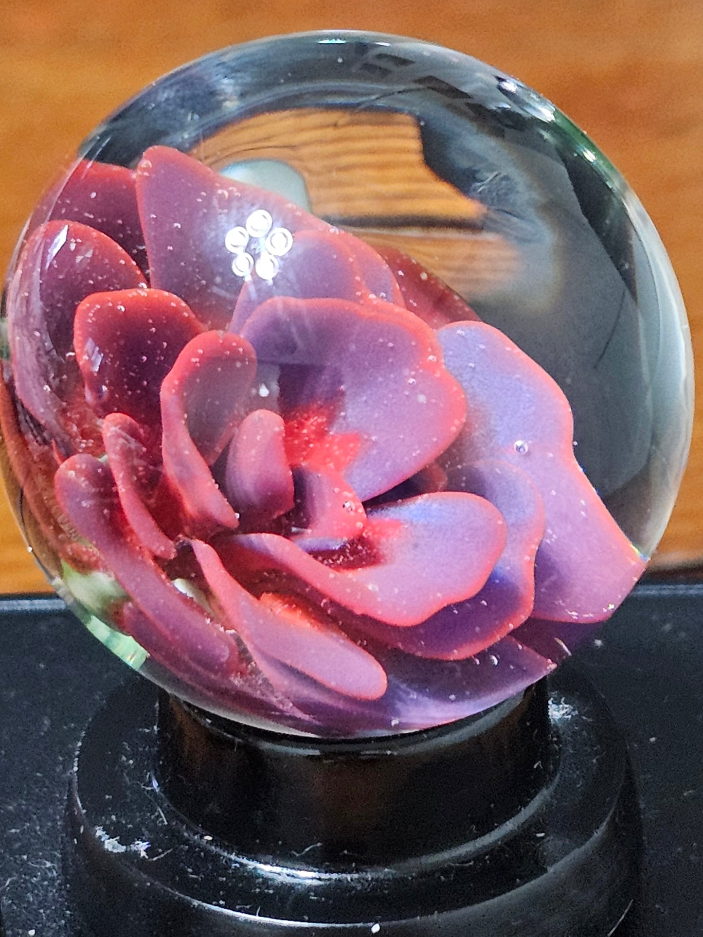 Floral Marble for Sea Savage