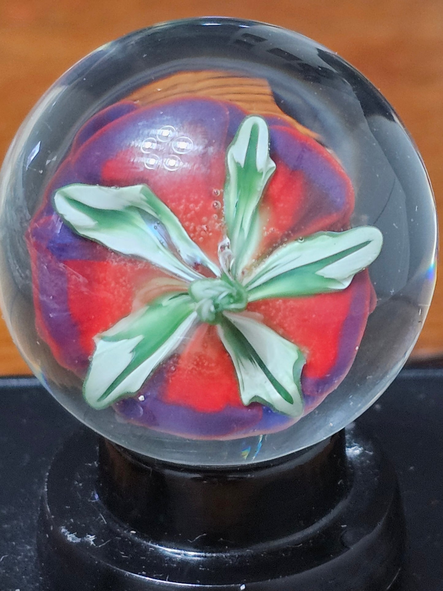 Floral Marble for Sea Savage