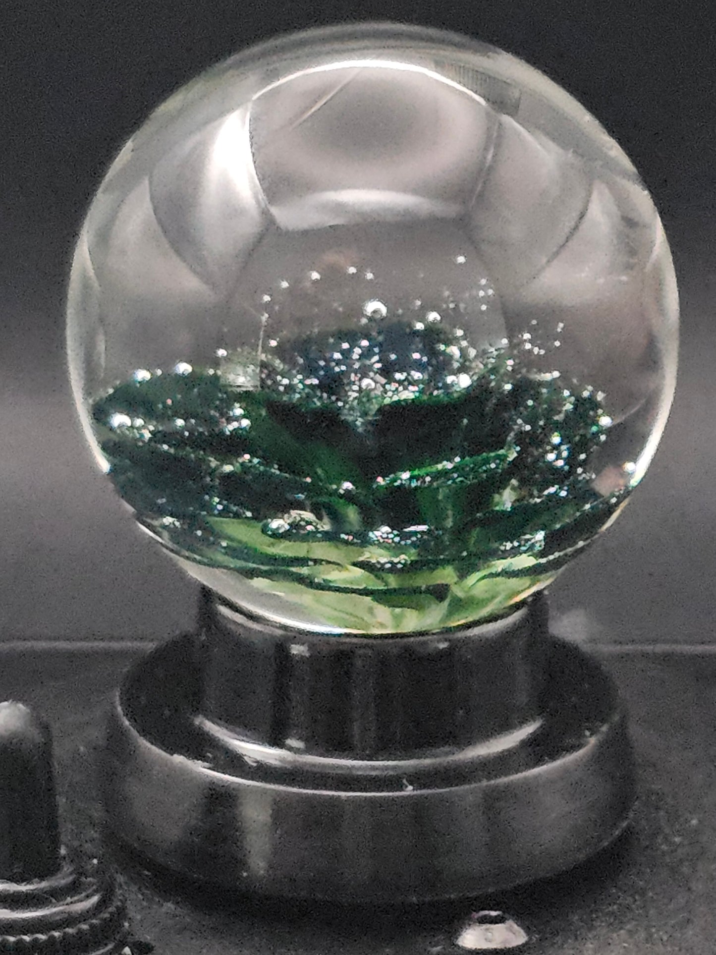 Galaxy Black & Uranium (ION) Floral Marble