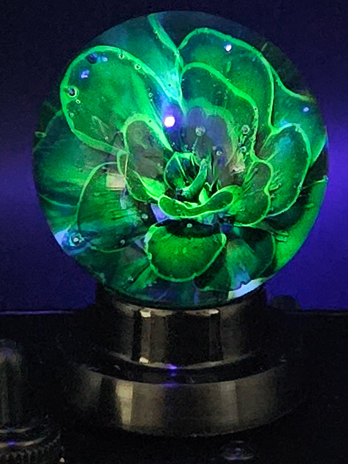 Galaxy Black & Uranium (ION) Floral Marble