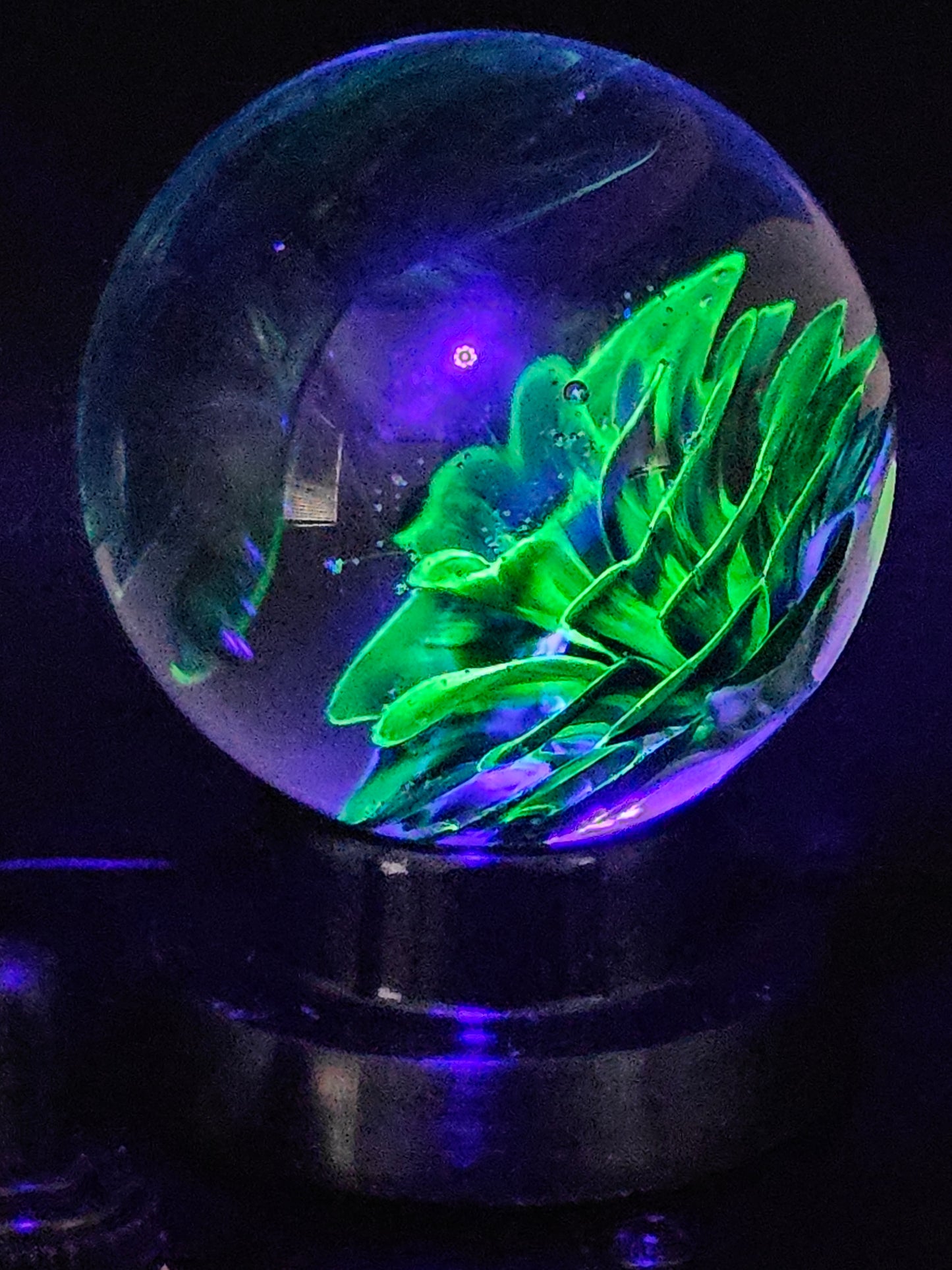 Galaxy Black & Uranium (ION) Floral Marble