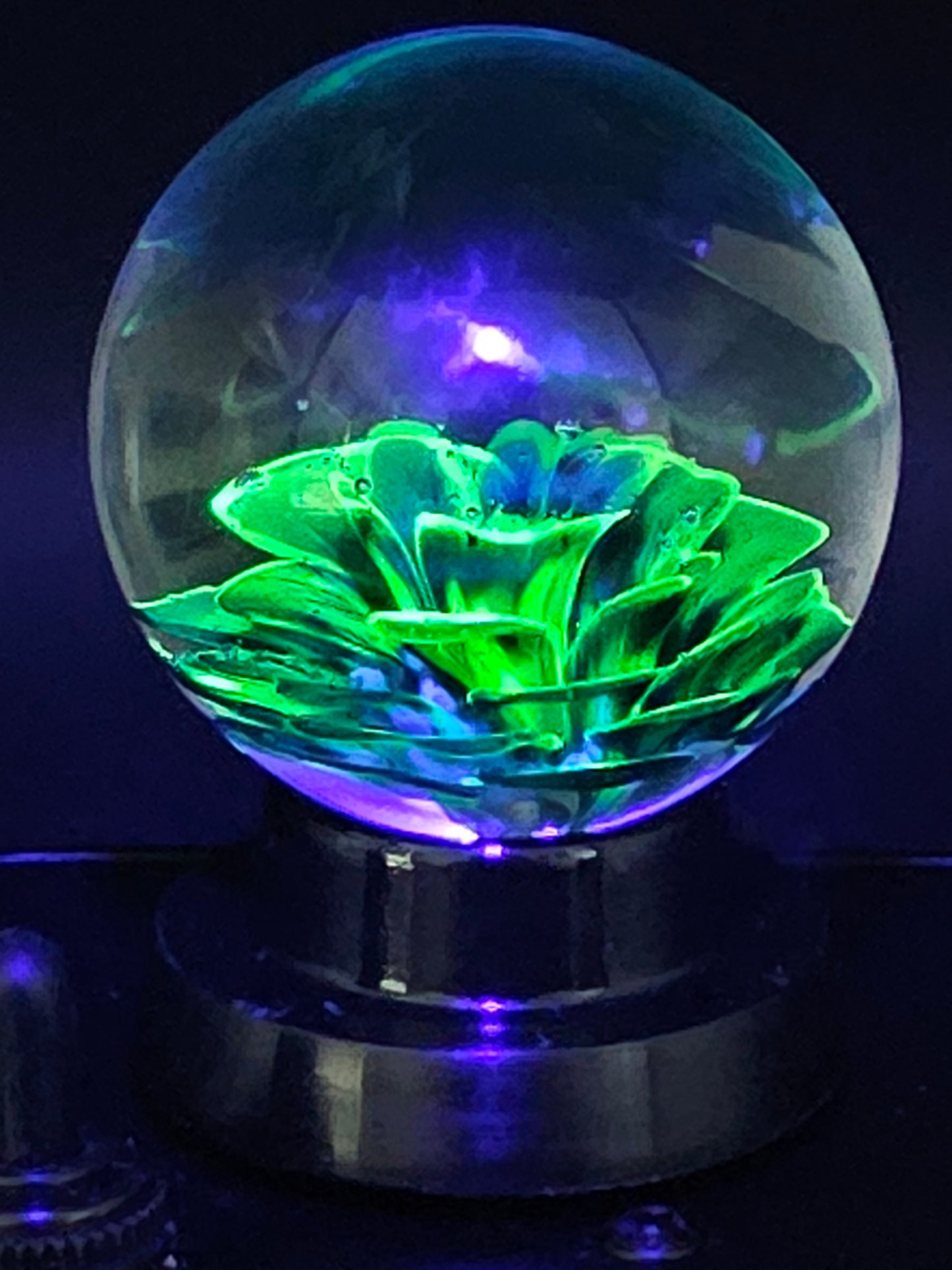 Galaxy Black & Uranium (ION) Floral Marble