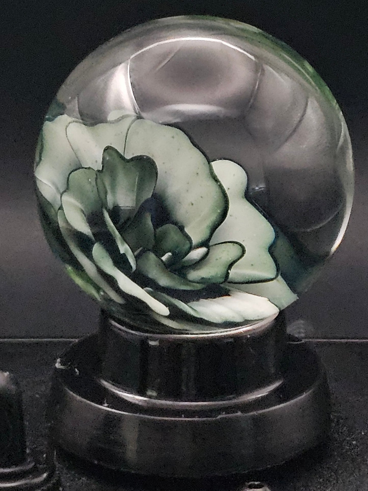 Galaxy Black & China White  Floral Marble