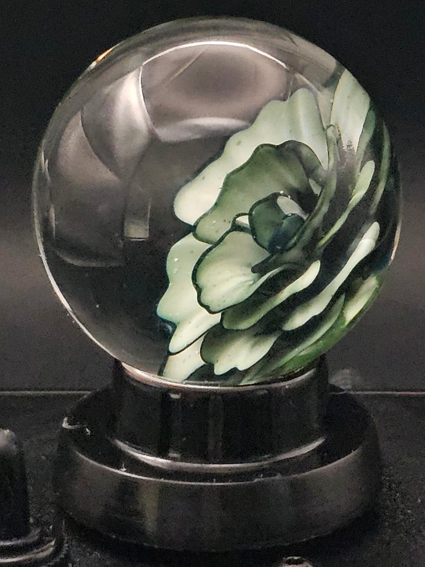 Galaxy Black & China White  Floral Marble