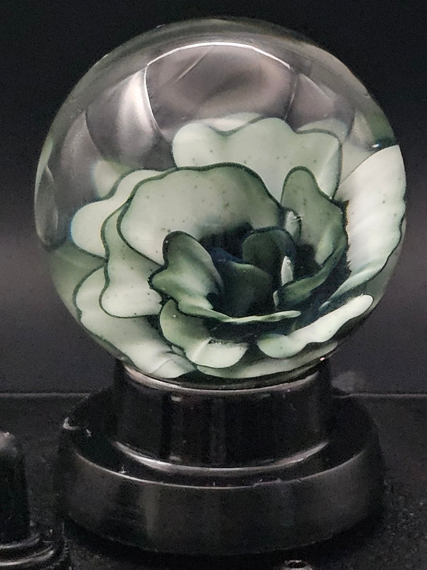 Galaxy Black & China White  Floral Marble
