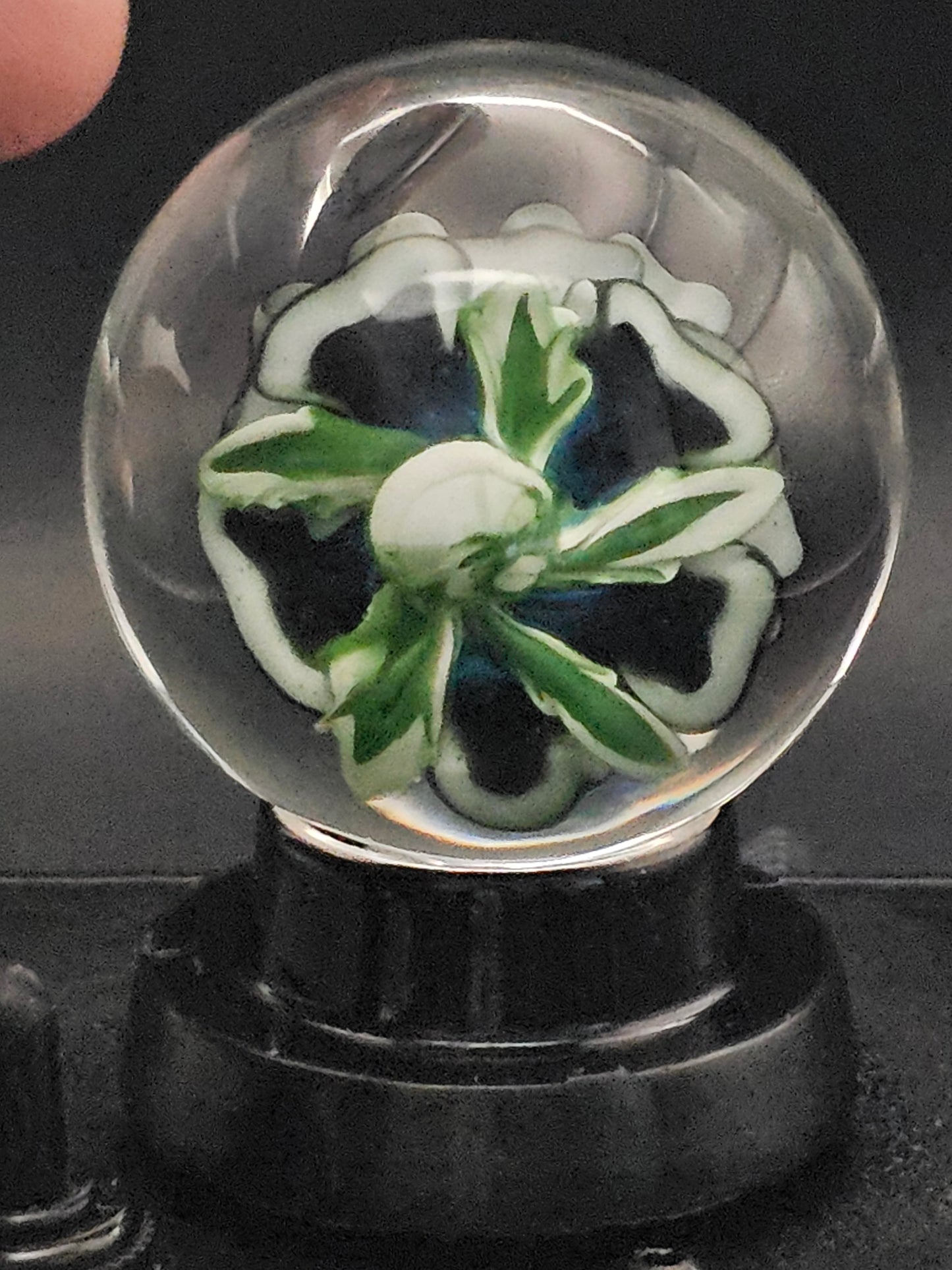 Galaxy Black & China White  Floral Marble