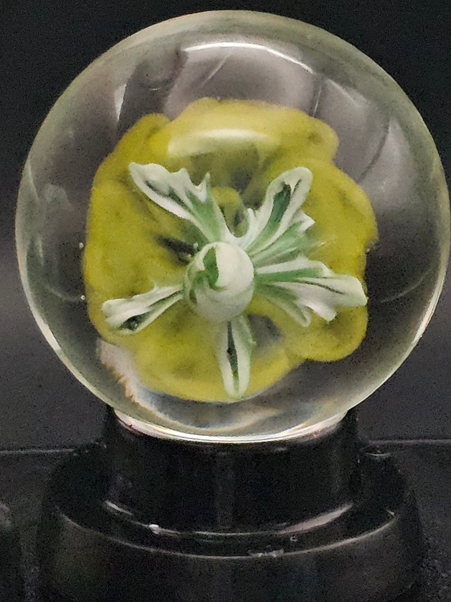 Light Cobalt & Canary Yellow Floral Marble