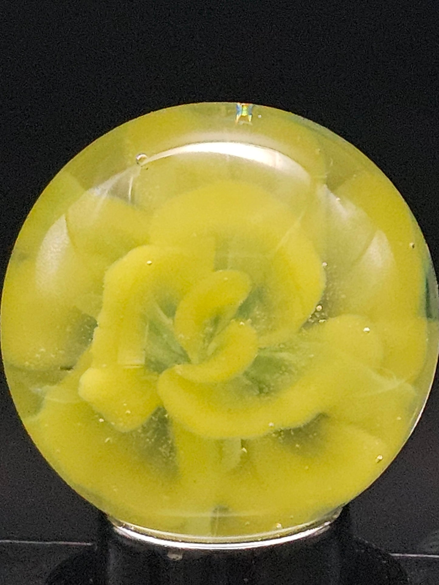 Canary Yellow & Roswell Yellow Floral Marble
