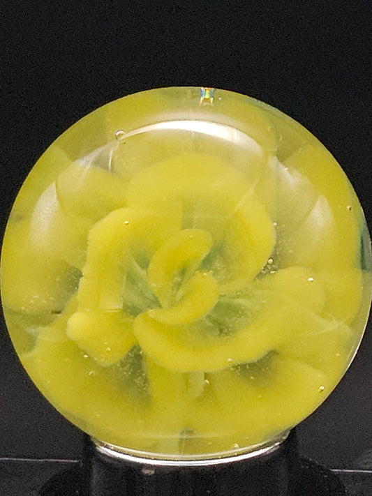 Canary Yellow & Roswell Yellow Floral Marble