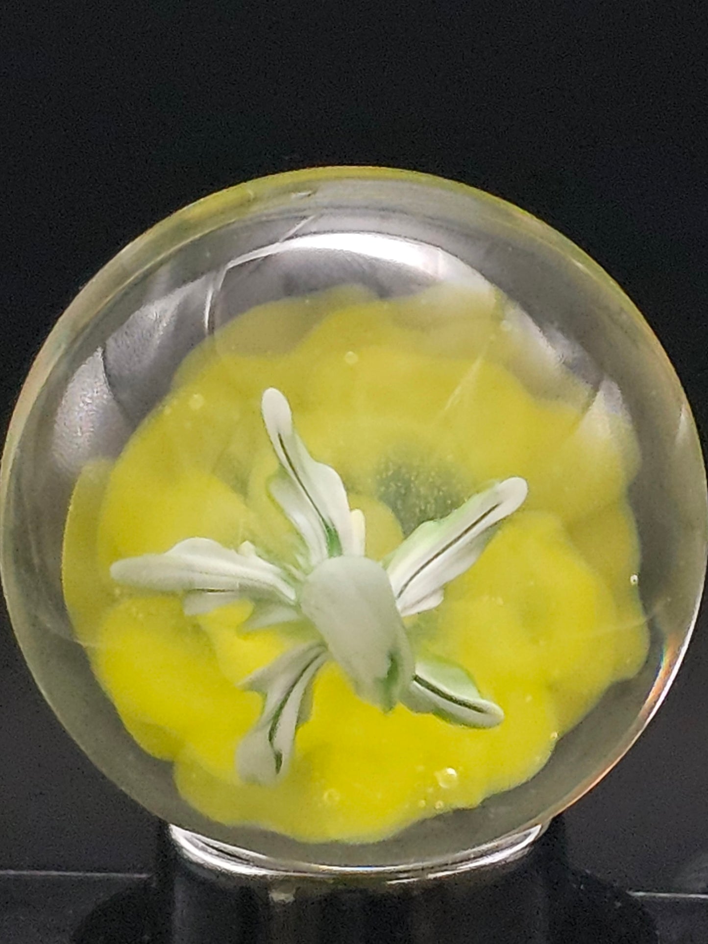 Canary Yellow & Roswell Yellow Floral Marble