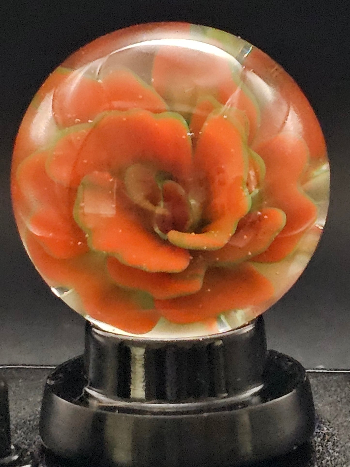 Poppy Red & Forest Green Floral Marble