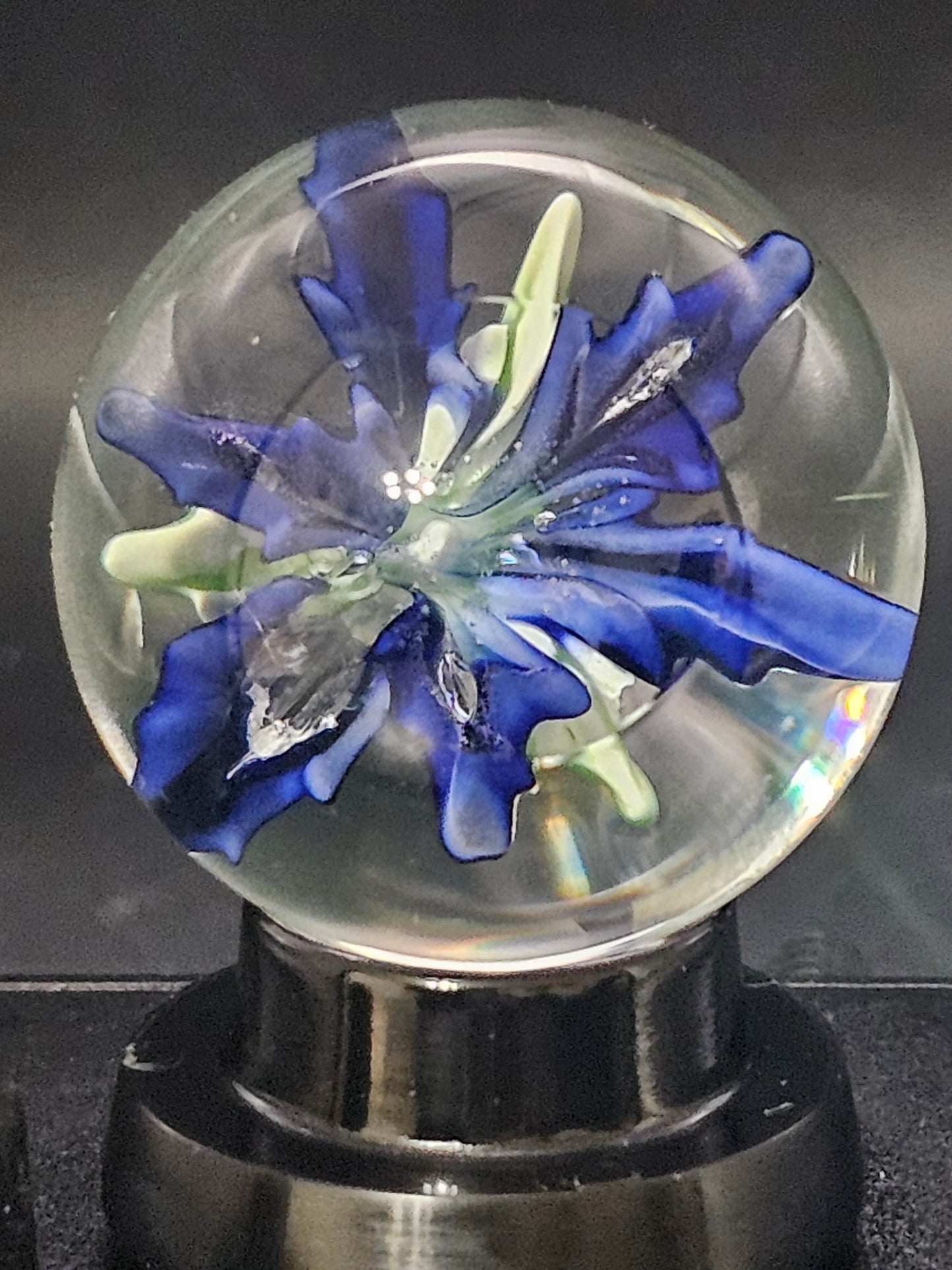 Turbo Cobalt & Periwinkle Floral Marble