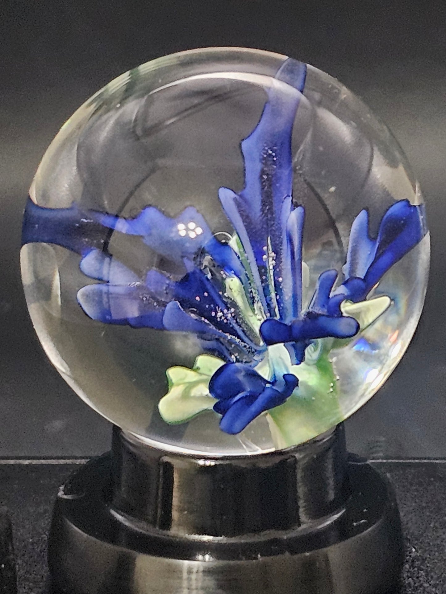 Turbo Cobalt & Periwinkle Floral Marble
