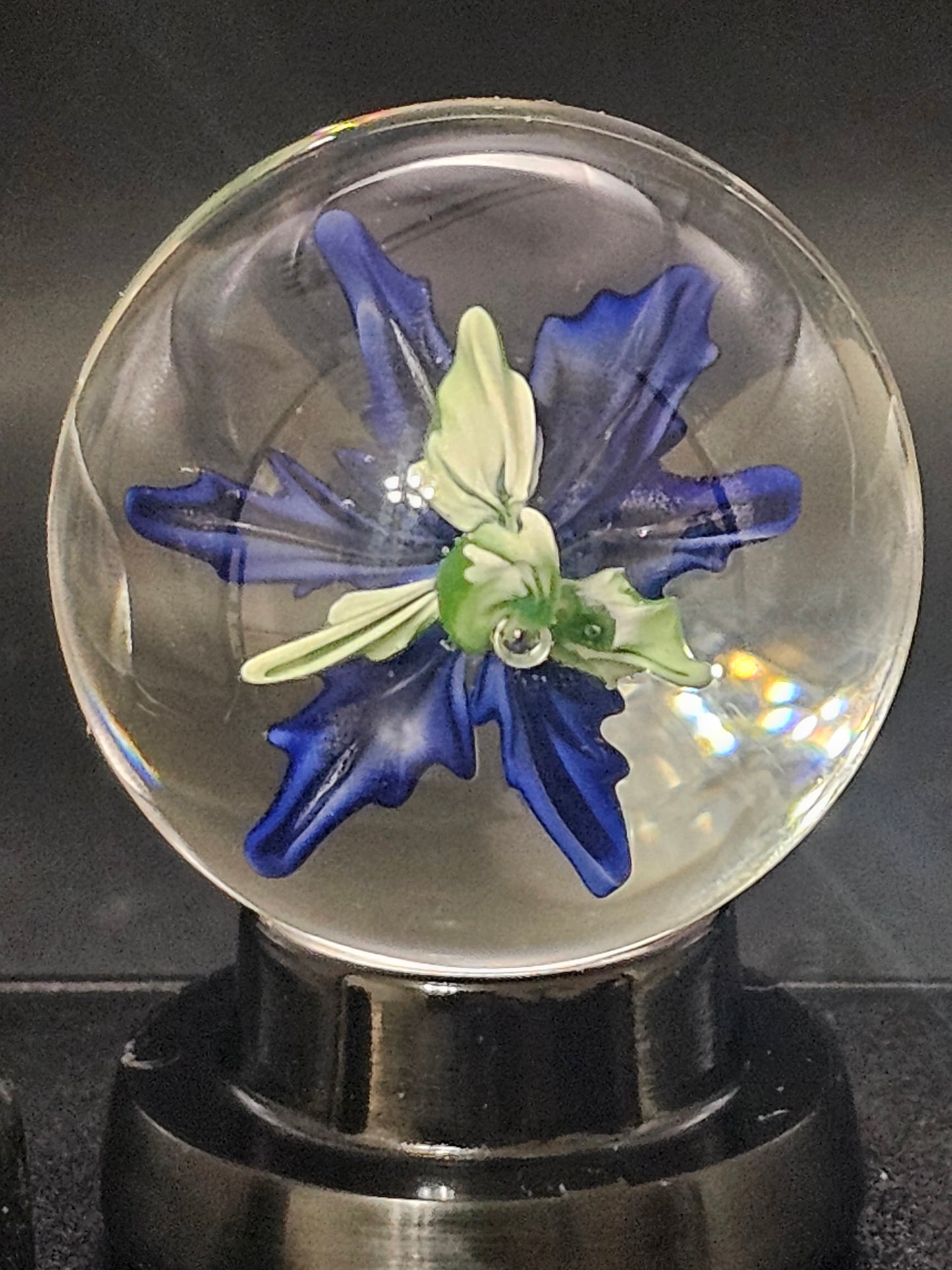 Turbo Cobalt & Periwinkle Floral Marble