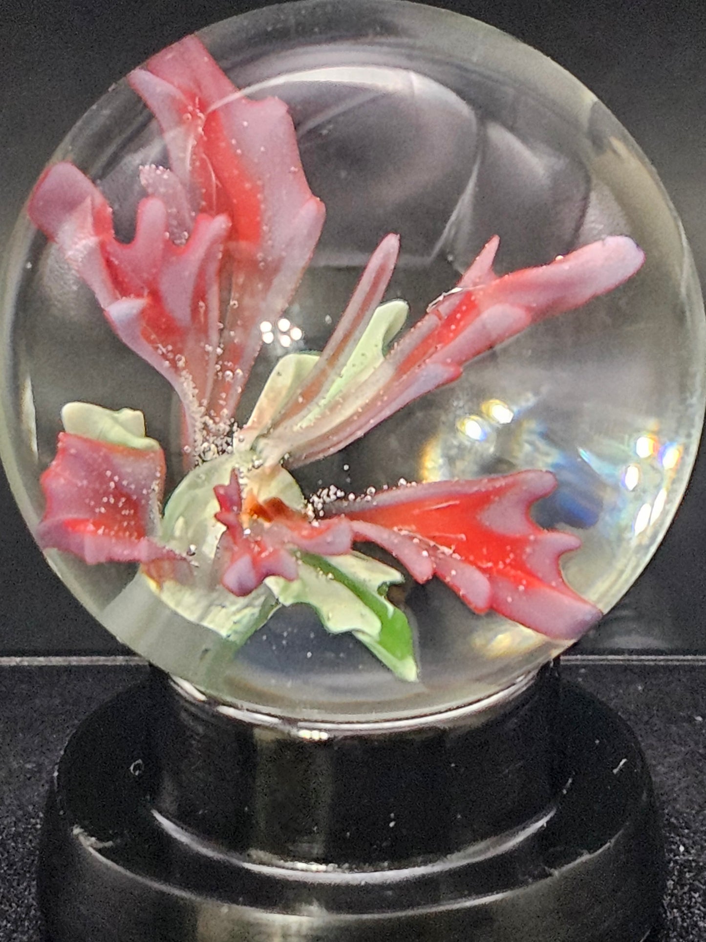 Periwinkle & Poppy Red Floral Marble