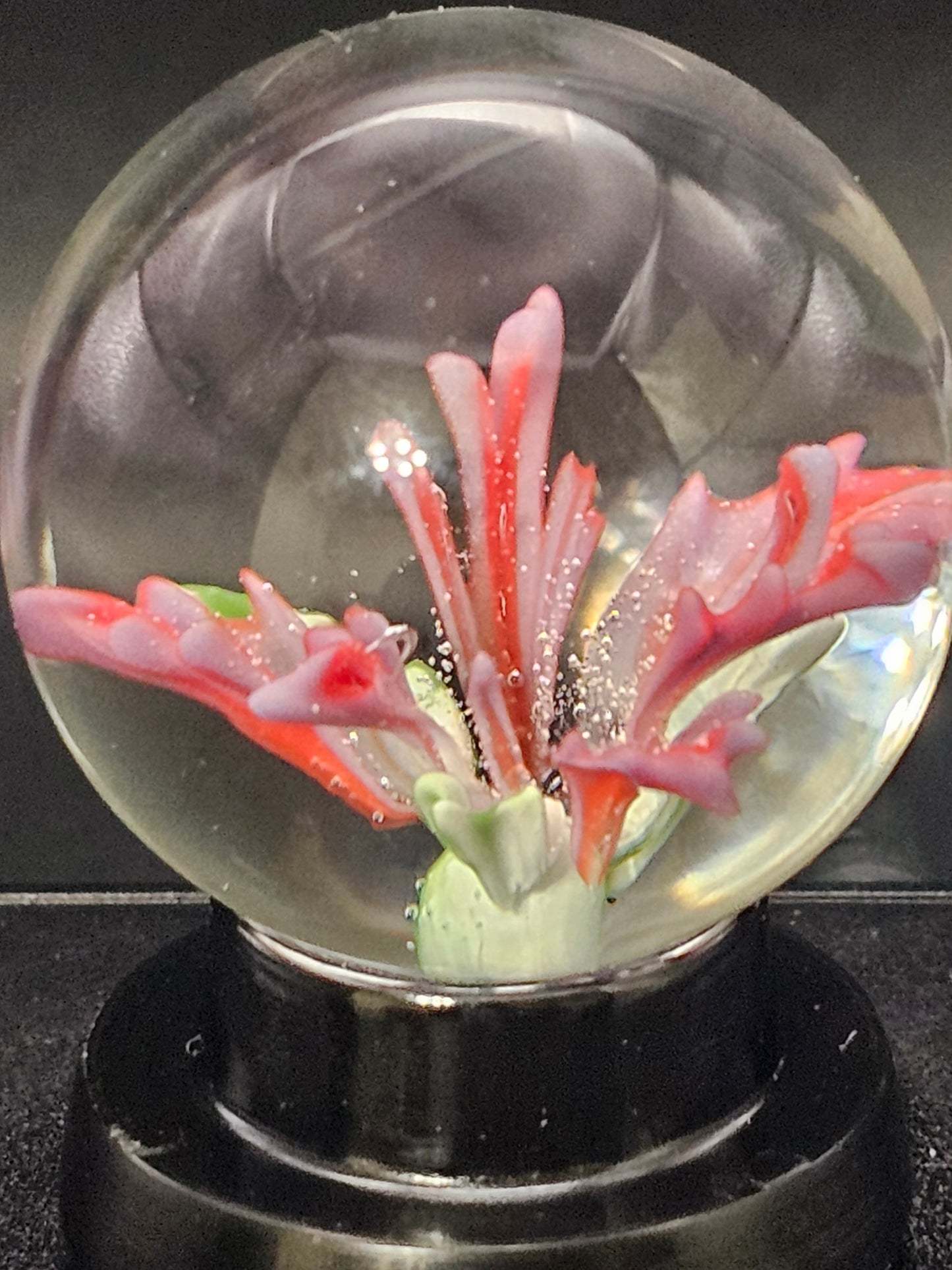 Periwinkle & Poppy Red Floral Marble