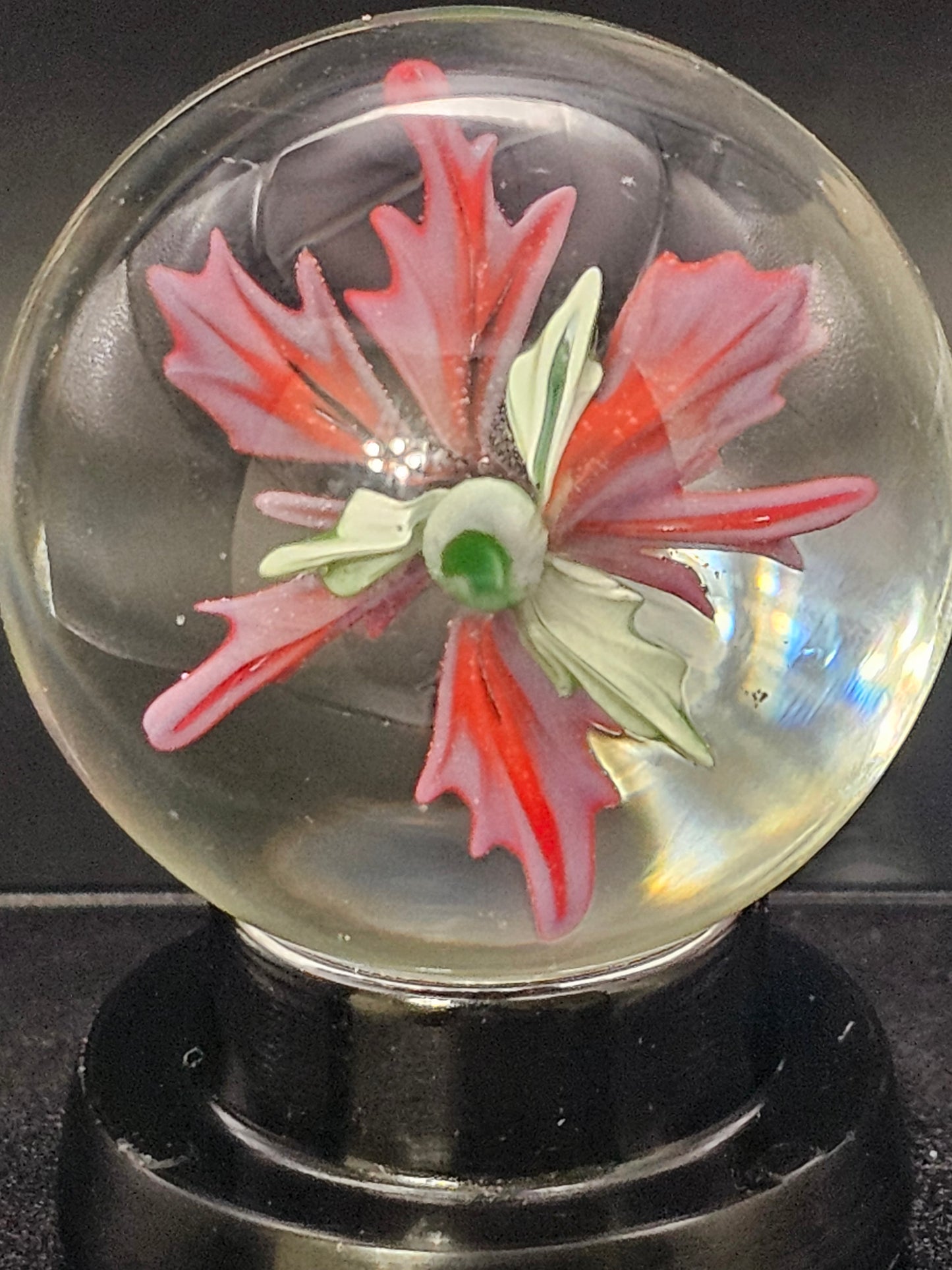 Periwinkle & Poppy Red Floral Marble