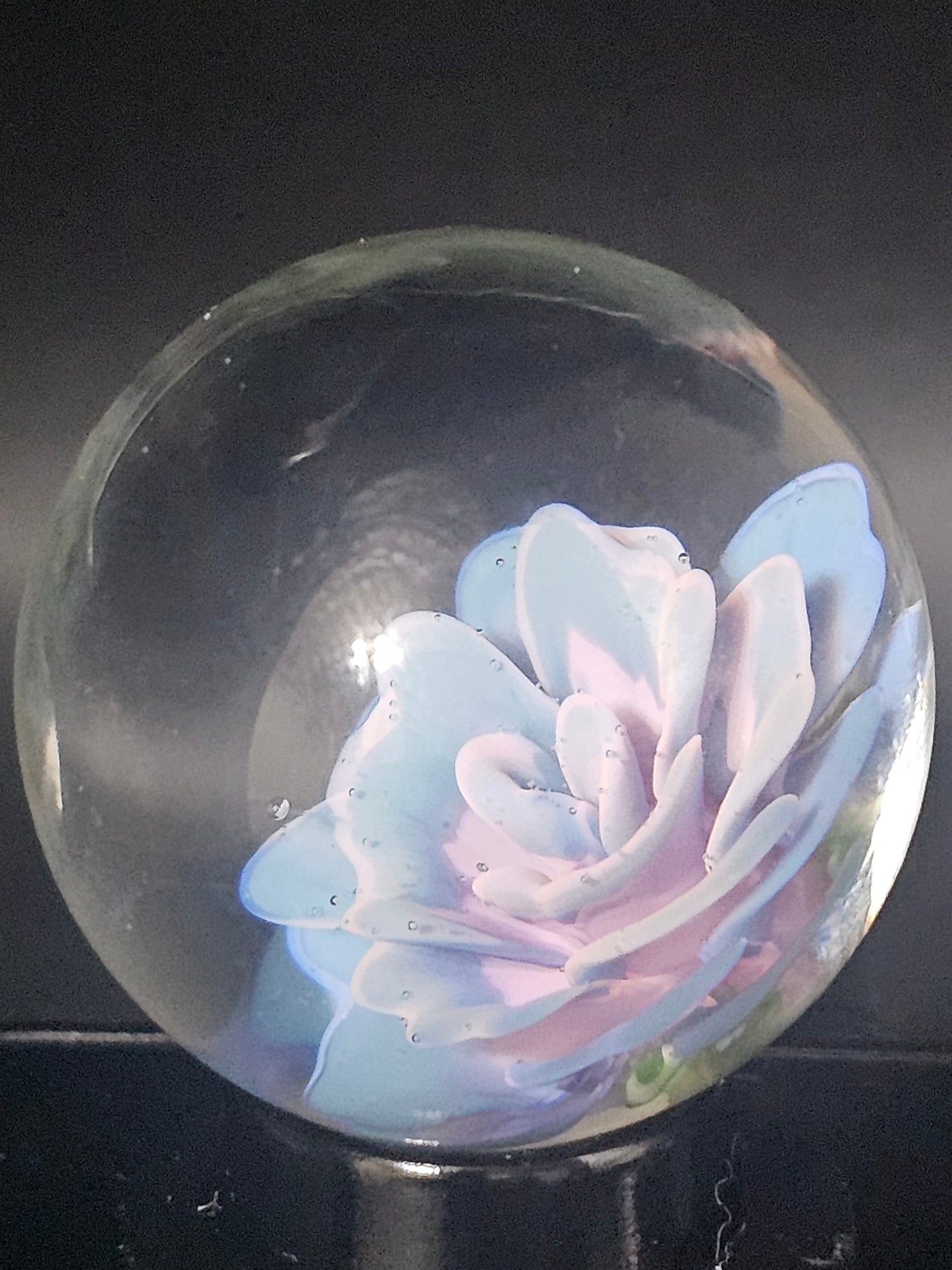 Really Teally & Royal Jelly Floral Marble
