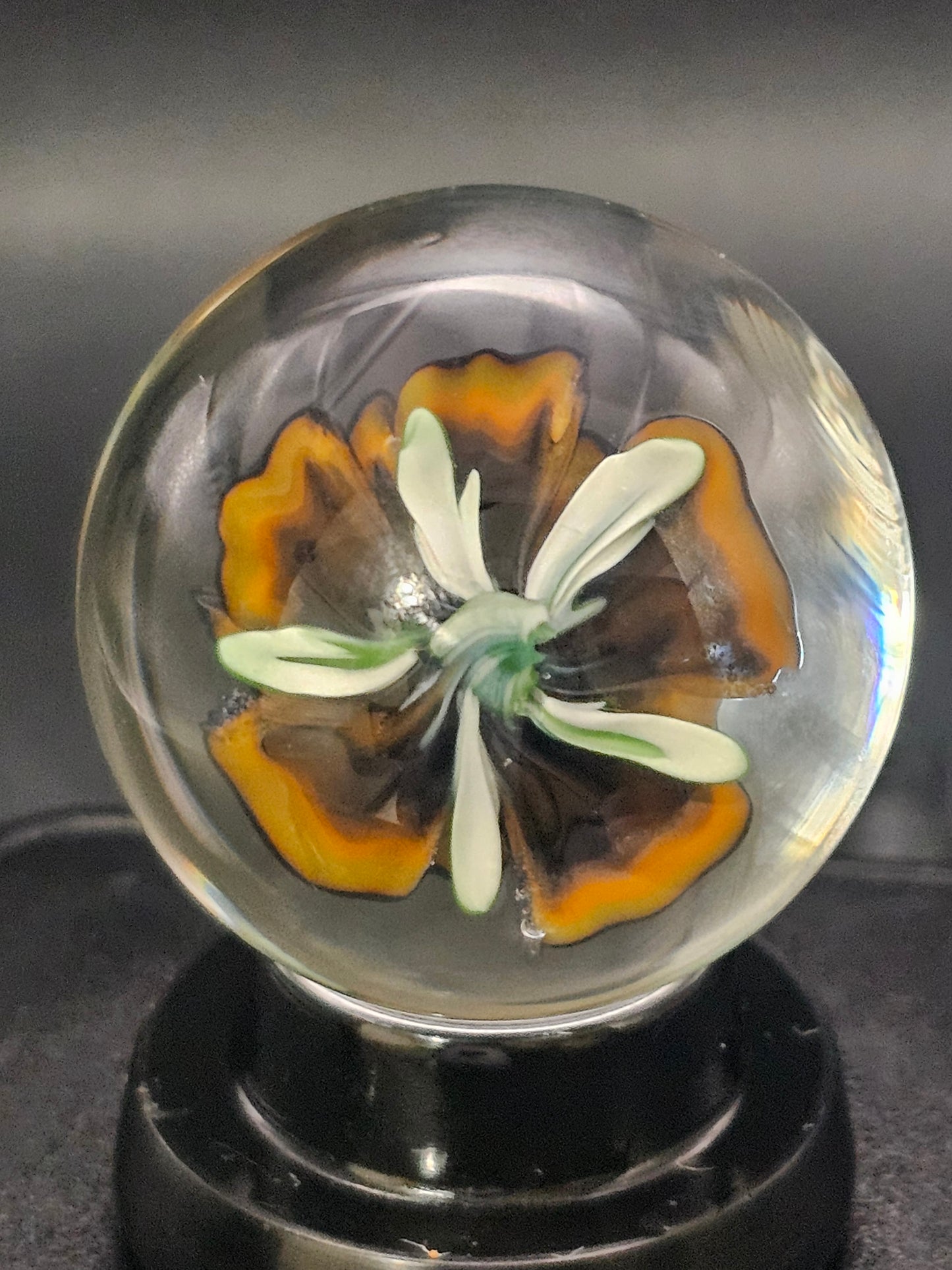Roswell Yellow, Lava Orange, & Jet Black Floral Marble