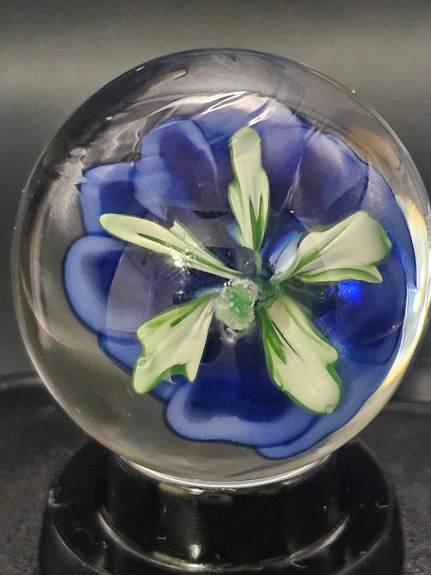 China White & Cobalt Blue Floral Marble