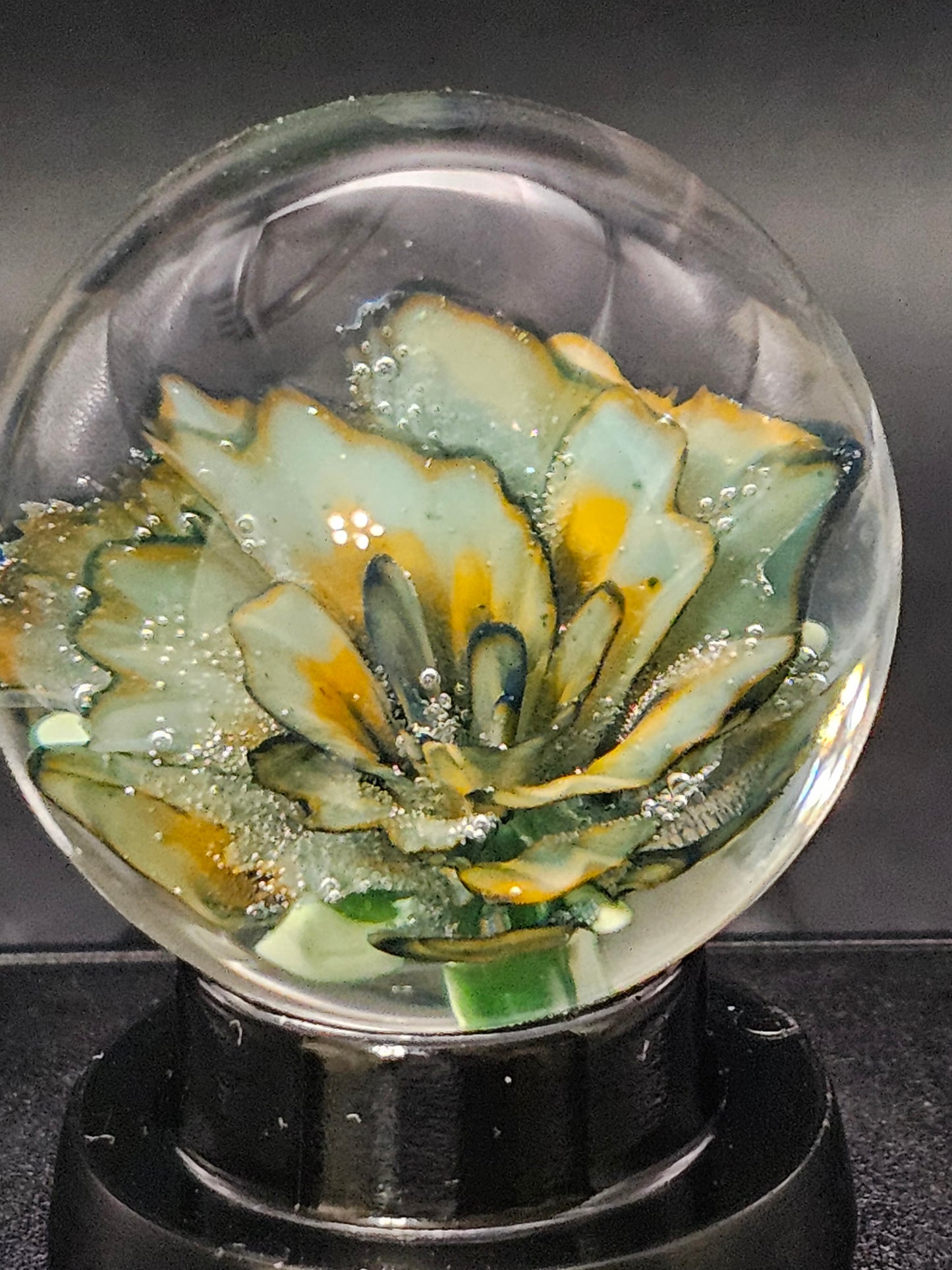 OJ Orange, Really Teally & Dark Knight Floral Marble